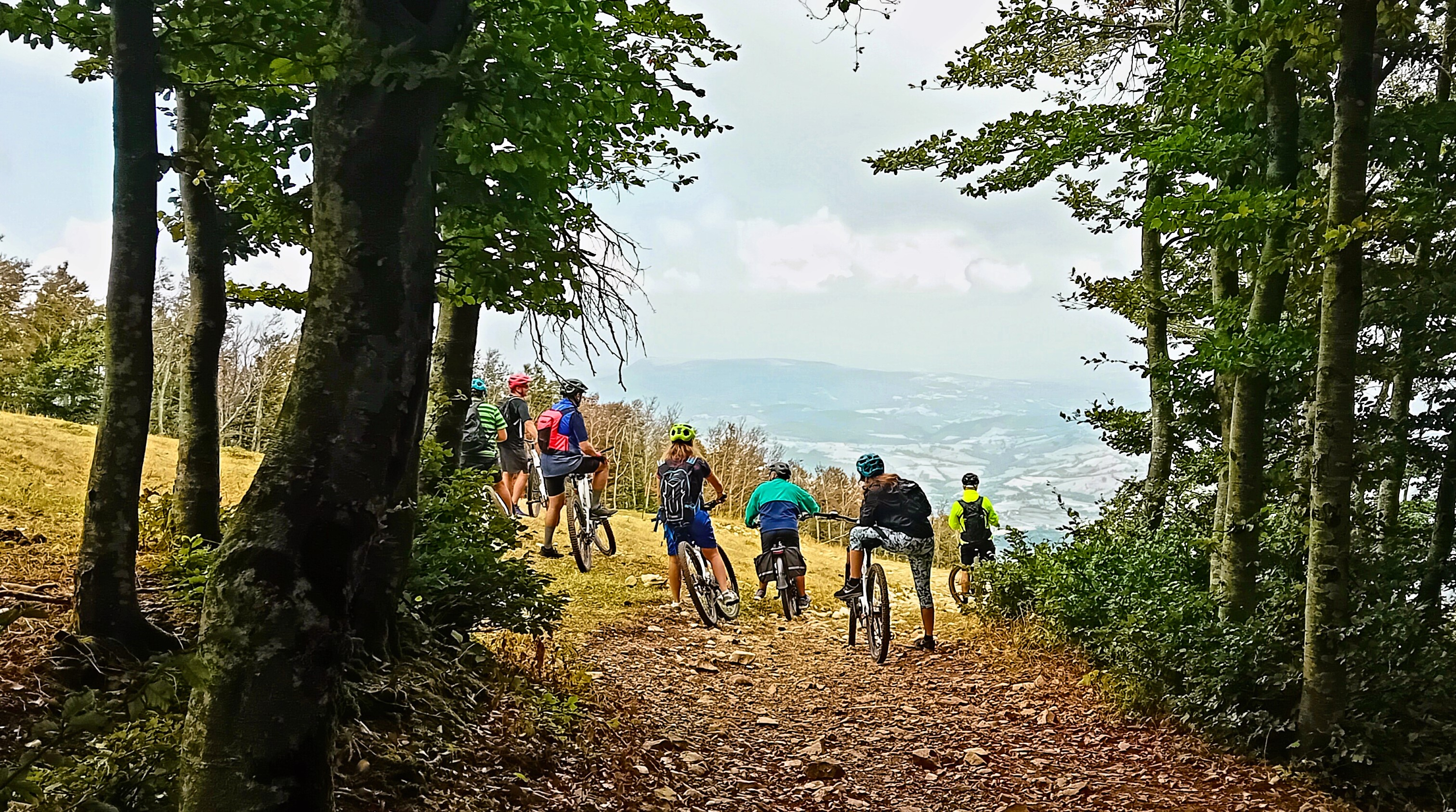 Avviamento alla Mountain Bike Assistita