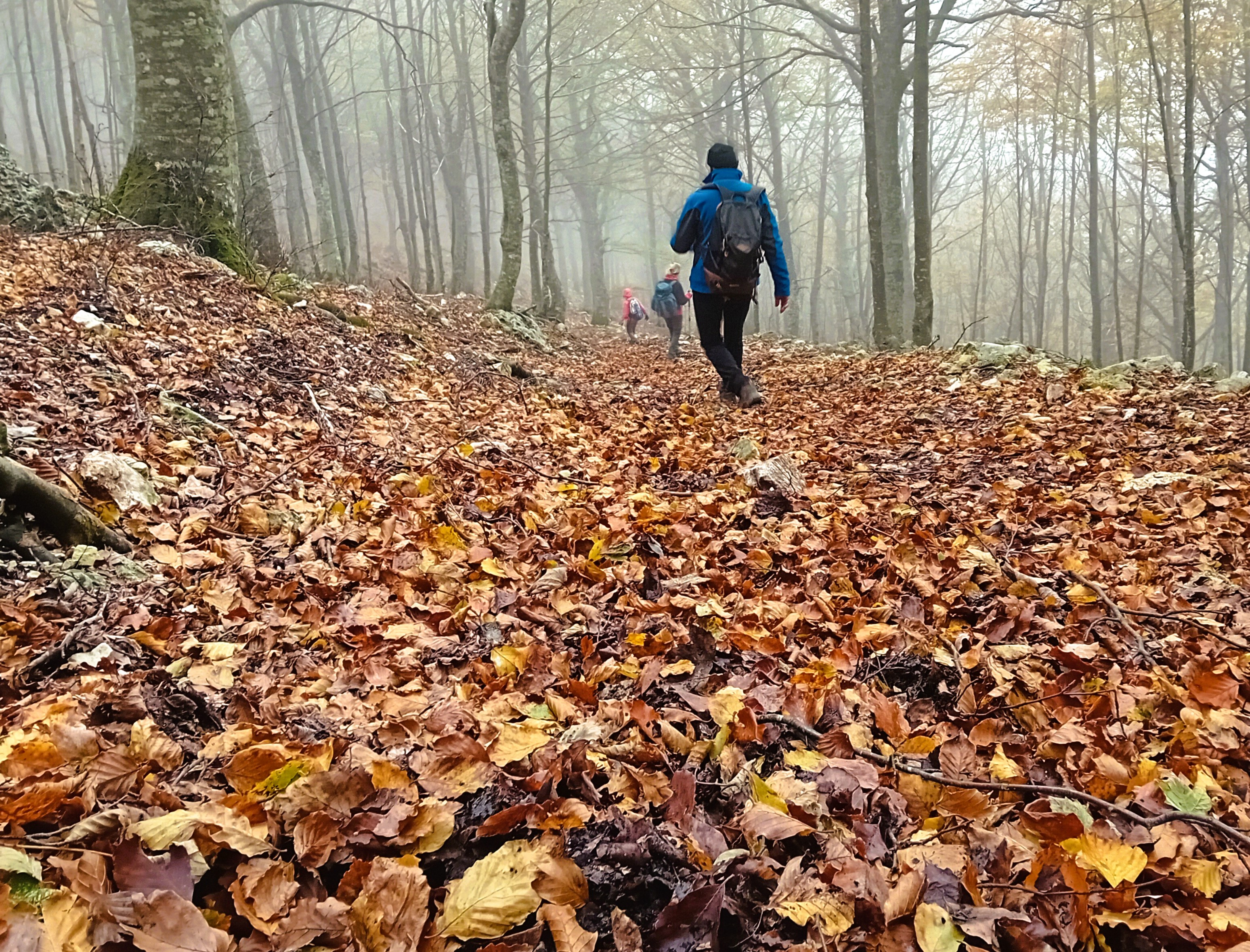Tappeto Rosso al Monte Cucco
