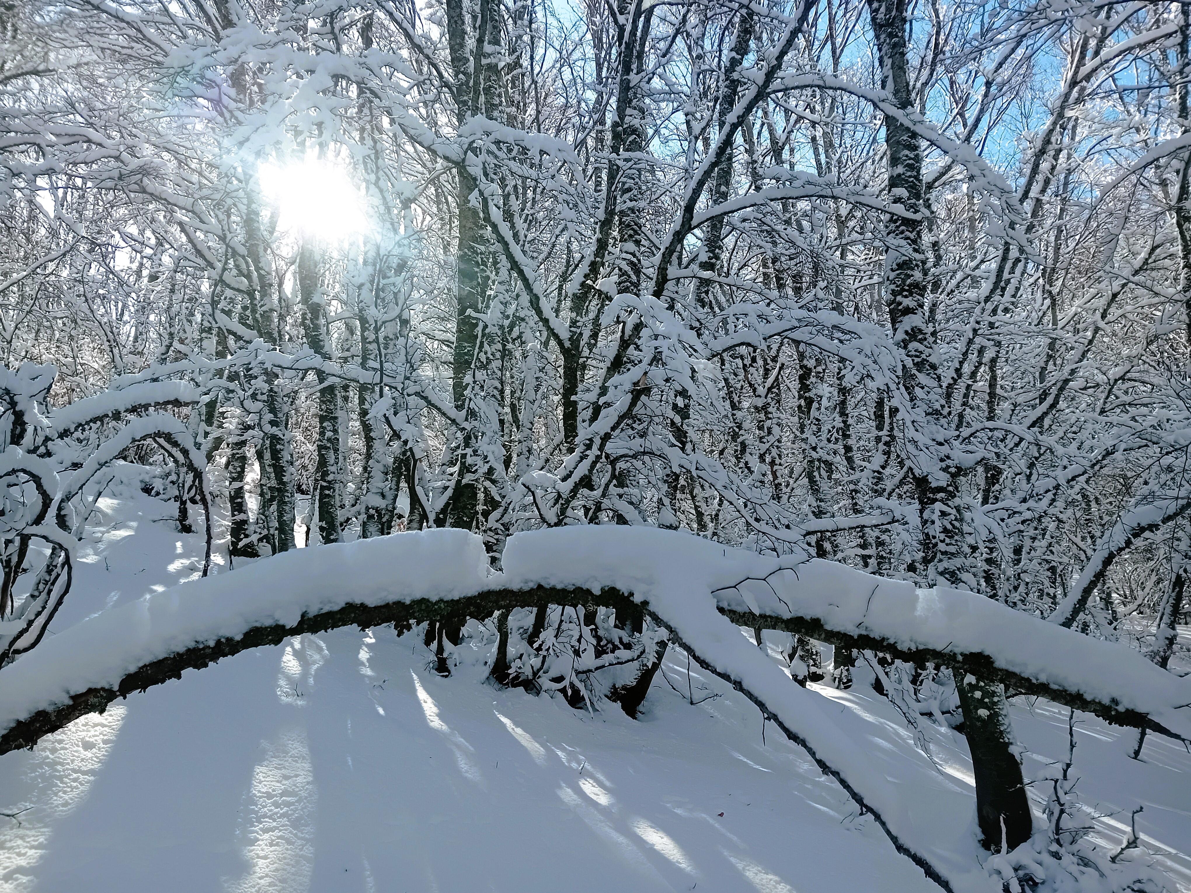 Ciaspolate a Castelluccio di Norcia