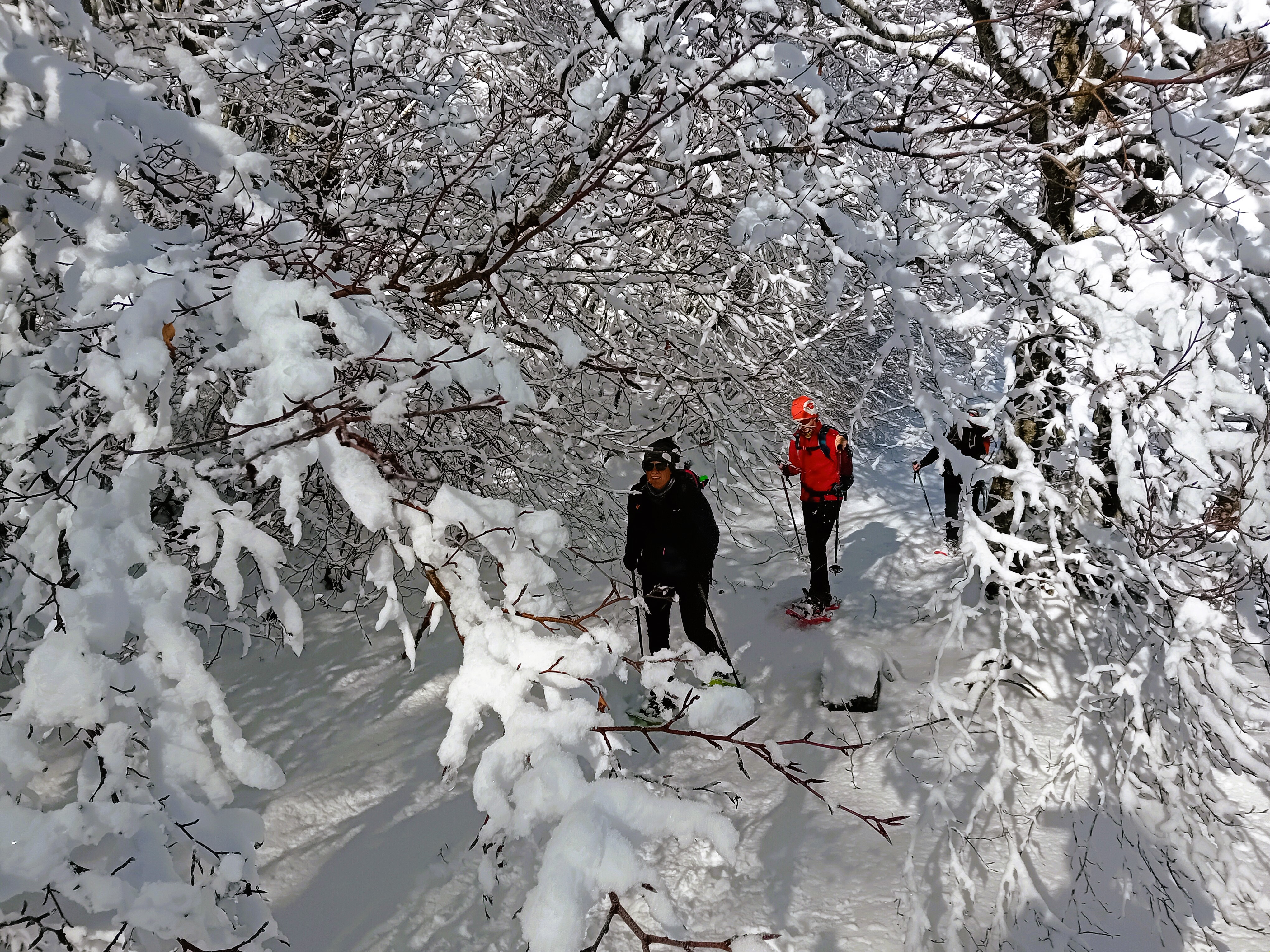 Ciaspolate a Castelluccio di Norcia