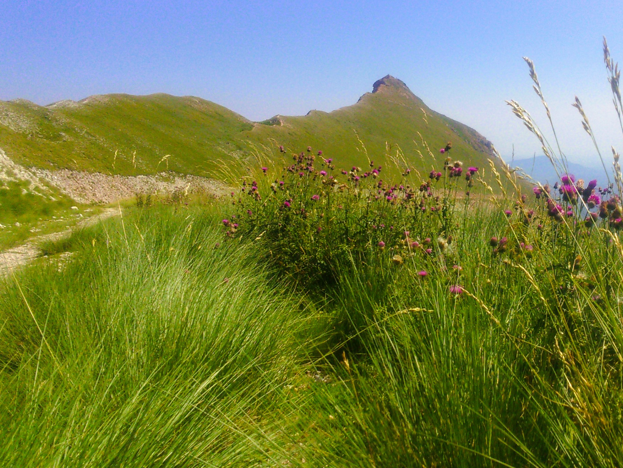 La Cresta del Monte Sibilla